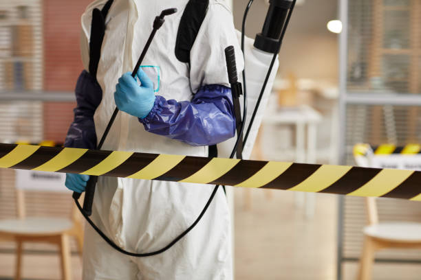 Professional Sewage Cleanup technician working in Brownsville, FL